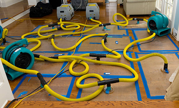 Professional Basement Flood Cleanup technician working in Gibson, AR